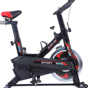 MSP290 Spin Bike