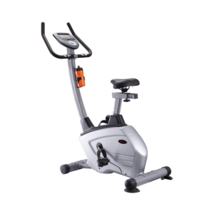 7318LB Upright Bike