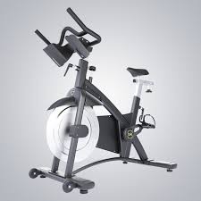 DHZ Spin Bike