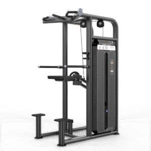 U2009CBZ Dip/Chin Assist