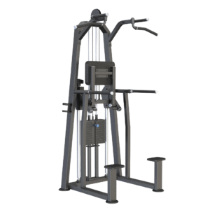 U3009 Dip Chin Assist