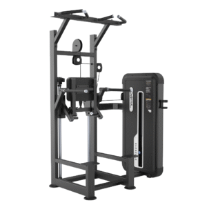 U3009A Dip Chin Assist