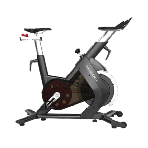 SPIN BIKE S210