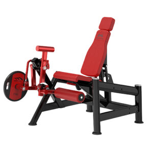 BH-14 Leg Extension